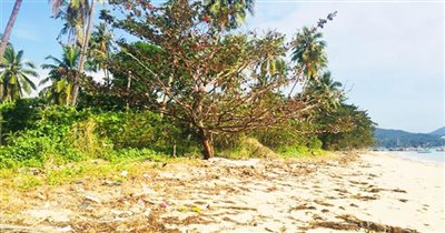 koh-samui-beachfront-land-for-sale-hua-thanon