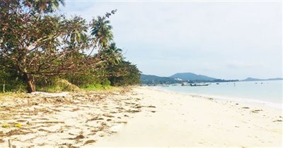 koh-samui-beachfront-land-for-sale-hua-thanon