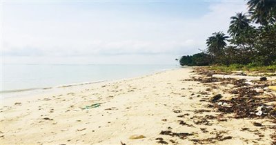 koh-samui-beachfront-land-for-sale-hua-thanon