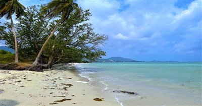koh-samui-beachfront-land-for-sale-hua-thanon