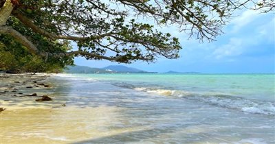koh-samui-beachfront-land-for-sale-hua-thanon