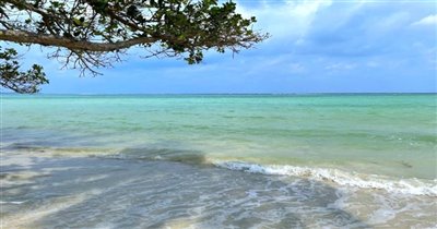 koh-samui-beachfront-land-for-sale-hua-thanon