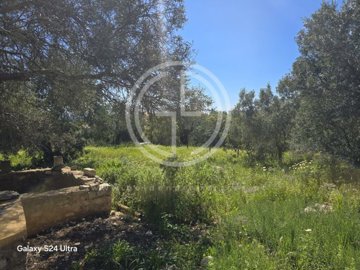 id92e19401-0000-0500-0000-0000152f6536