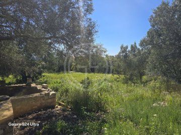 id92e19401-0000-0500-0000-0000152f6536