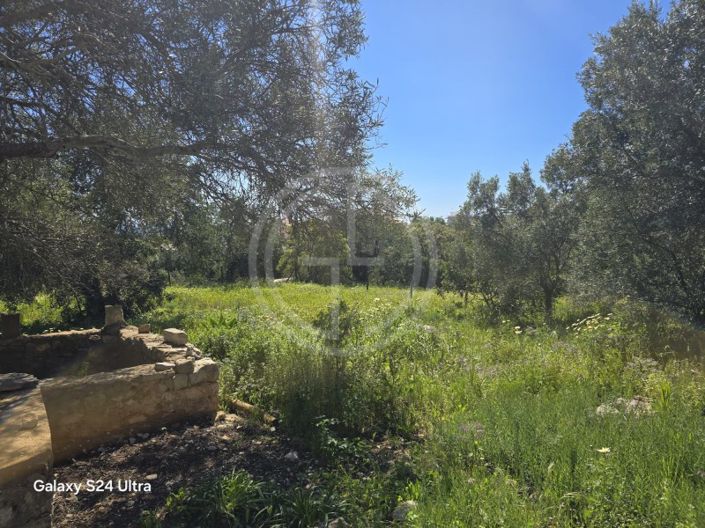 Image No.5-Terrain à vendre à Faro City