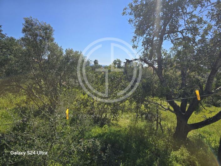 Image No.8-Plot for sale