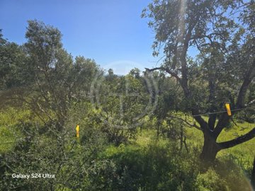 id92e19401-0000-0500-0000-0000152f6539