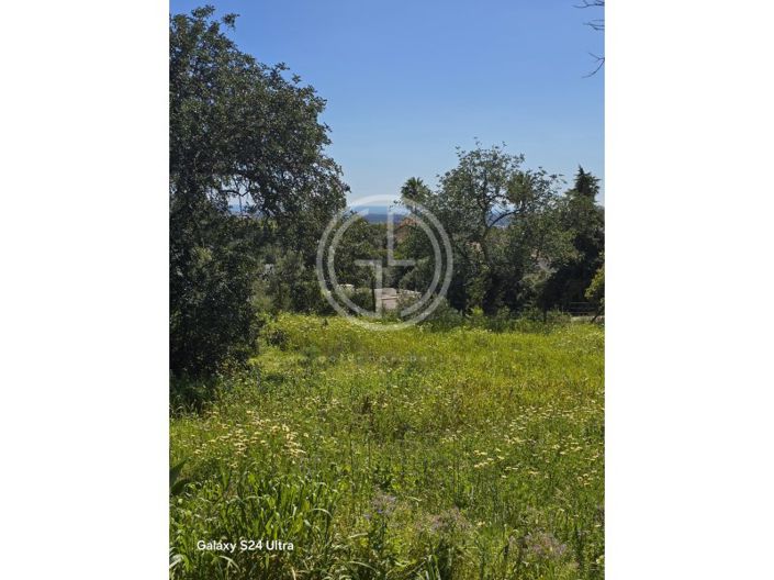 Image No.9-Plot for sale