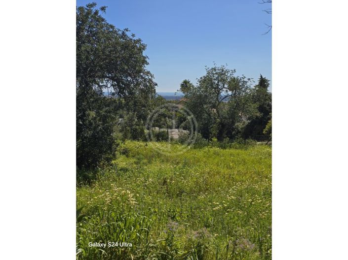 Image No.9-Terrain à vendre à Faro City