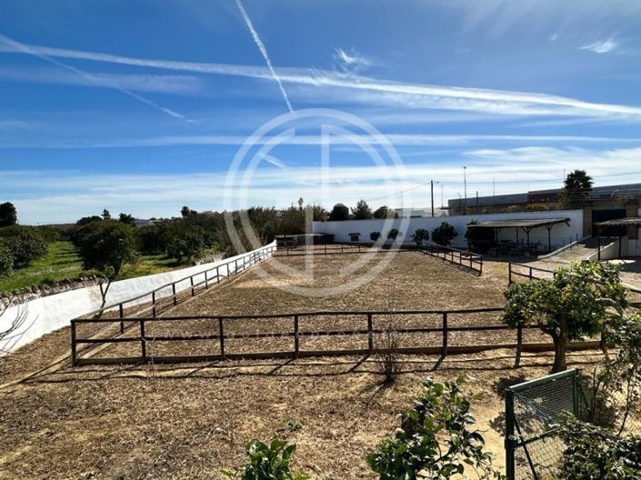 Image No.25-3 Bed House for sale