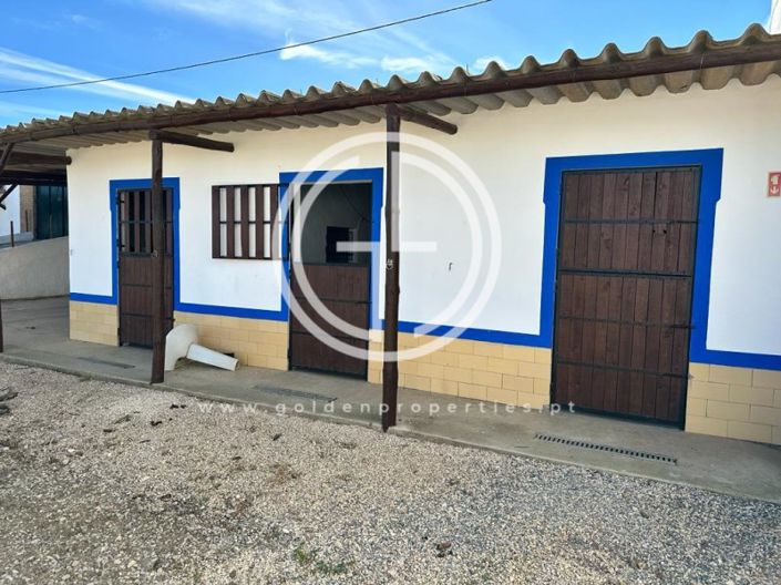 Image No.26-3 Bed House for sale