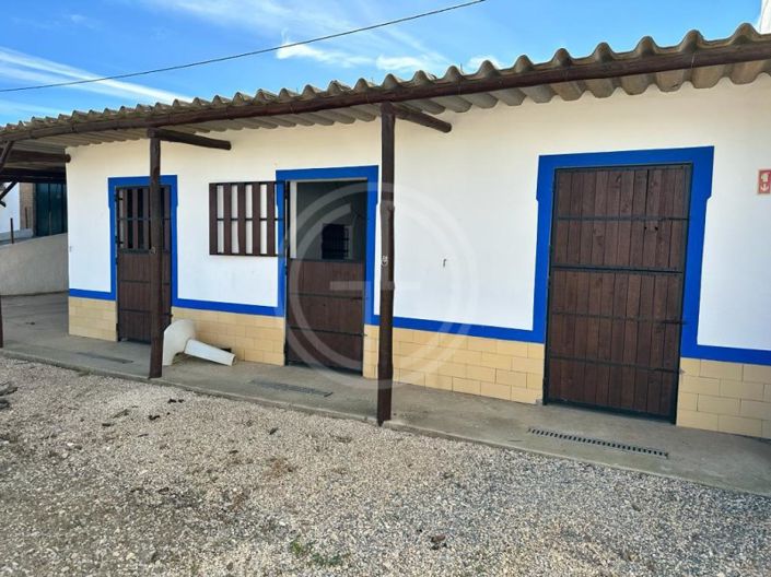 Image No.26-3 Bed House for sale