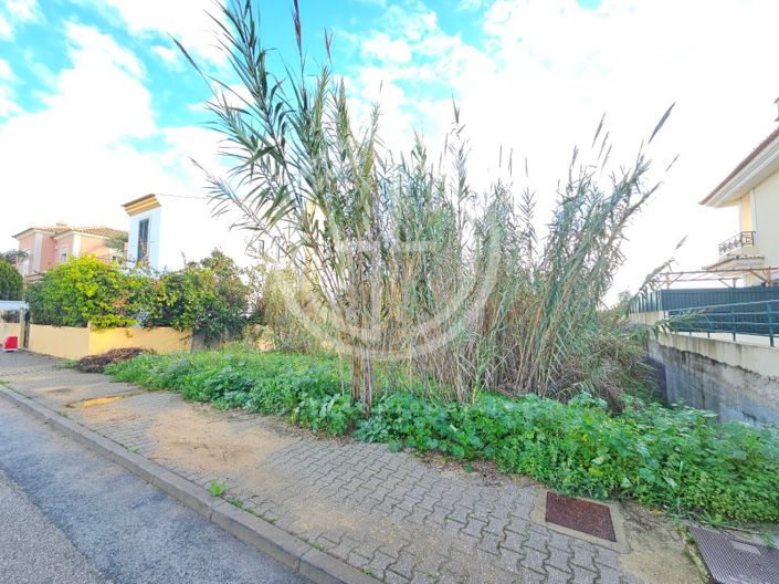 Image No.1-Plot for sale