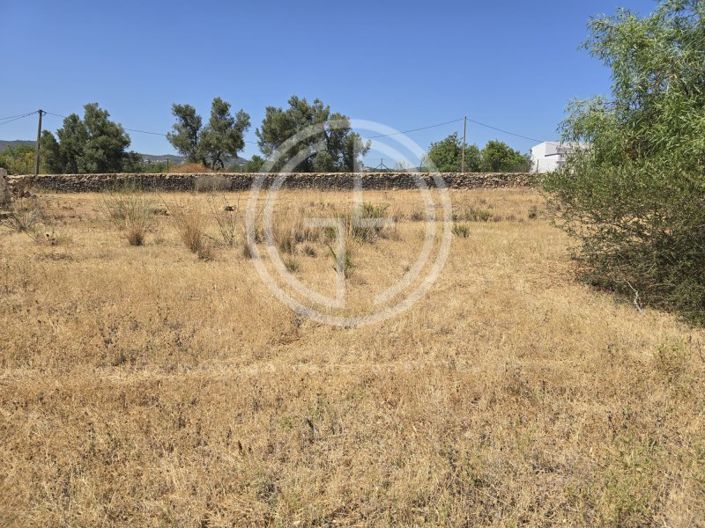 Image No.10-Terrain à vendre à Faro City