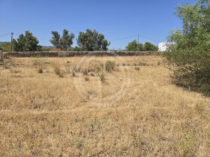 Image No.10-Plot for sale