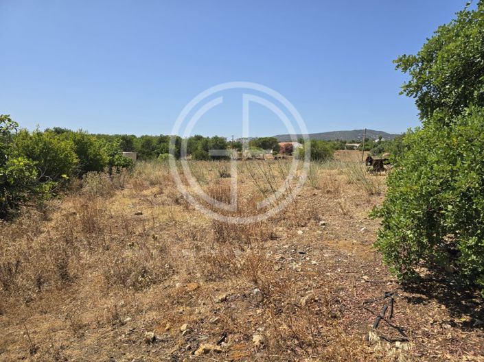 Image No.11-Terrain à vendre à Faro City