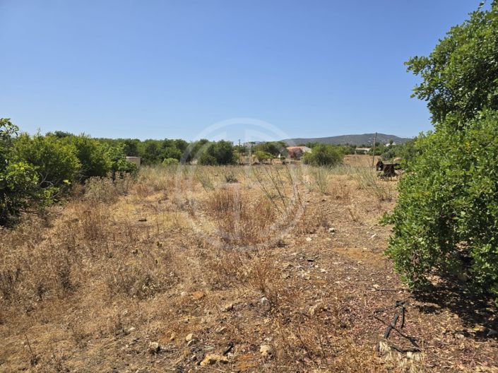 Image No.11-Plot for sale