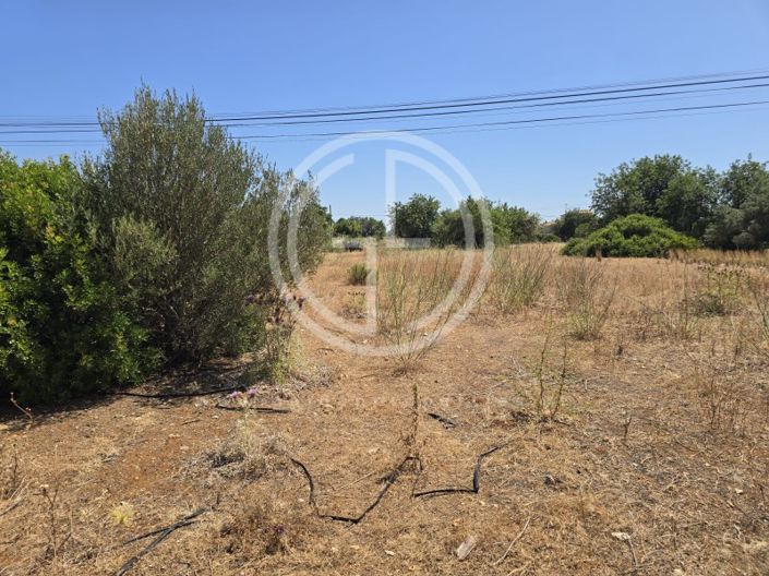 Image No.12-Terrain à vendre à Faro City