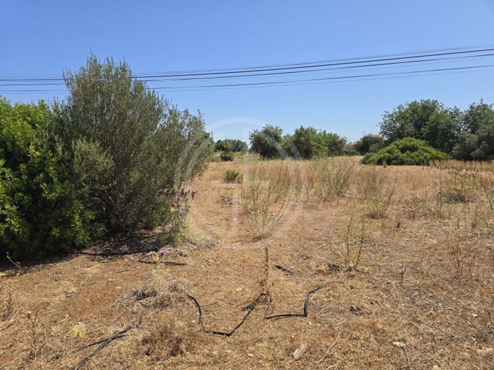 Image No.12-Plot for sale