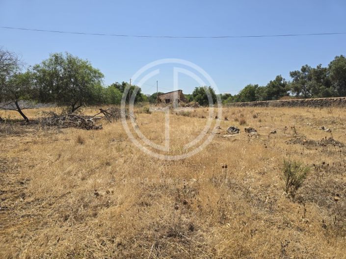 Image No.3-Terrain à vendre à Faro City