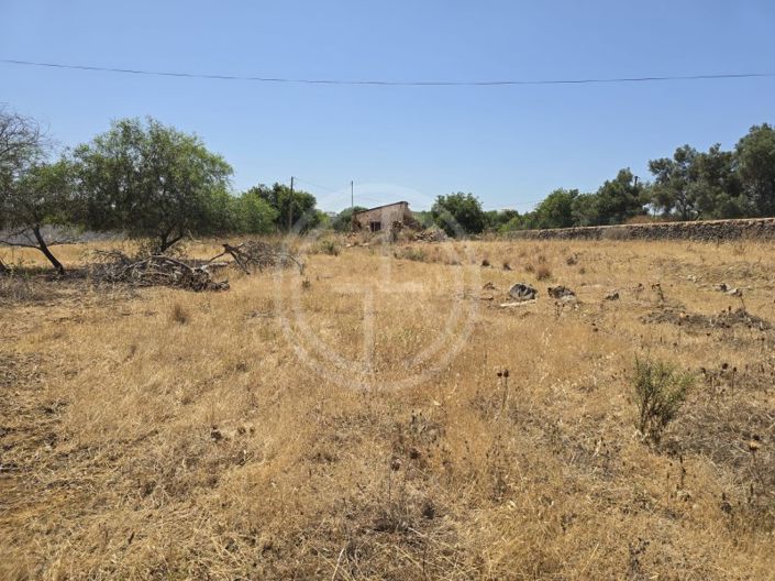 Image No.3-Plot for sale