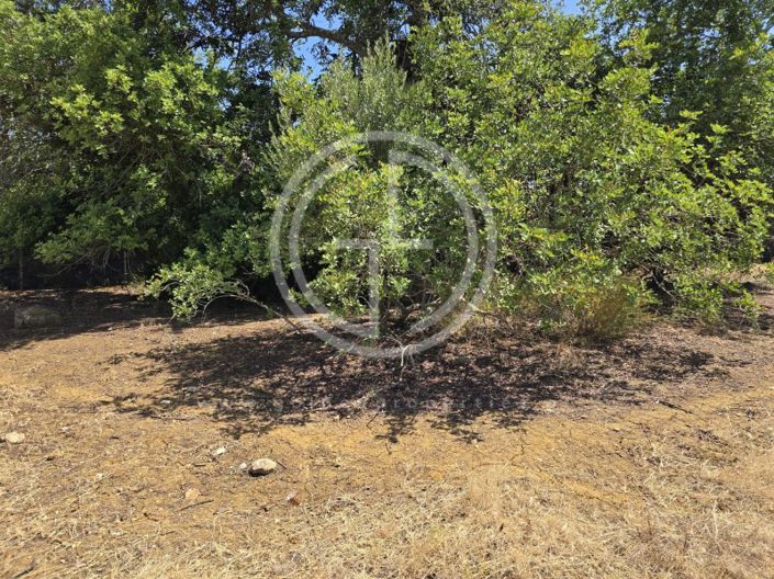 Image No.4-Terrain à vendre à Faro City