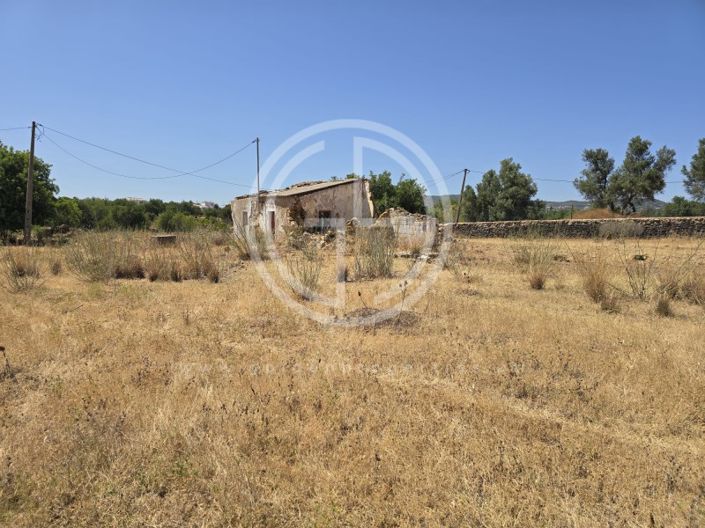 Image No.5-Terrain à vendre à Faro City