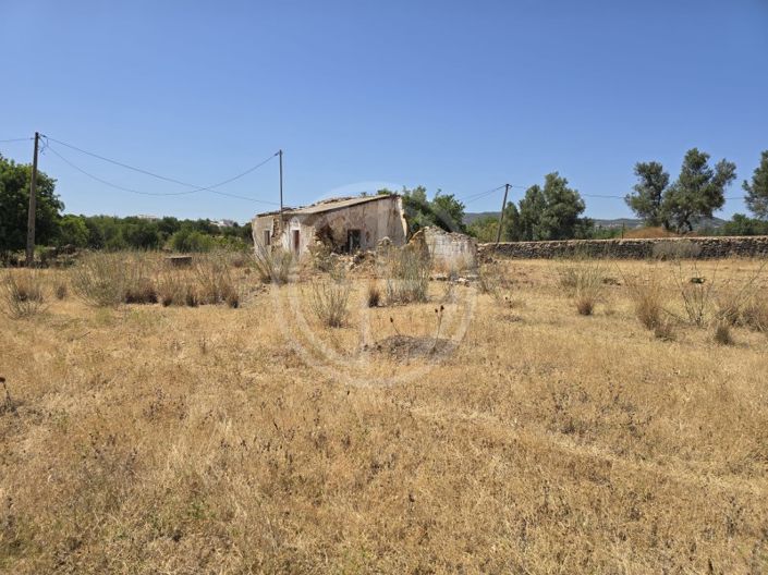 Image No.5-Plot for sale