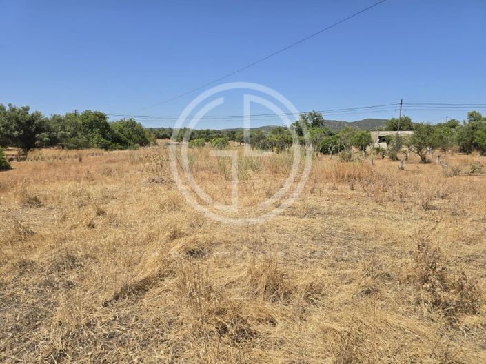 Image No.6-Terrain à vendre à Faro City