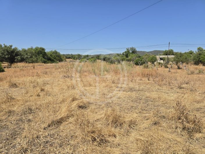 Image No.6-Plot for sale