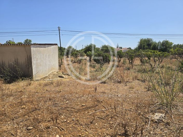 Image No.7-Terrain à vendre à Faro City