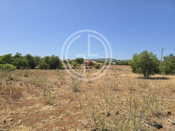 Image No.8-Terrain à vendre à Faro City