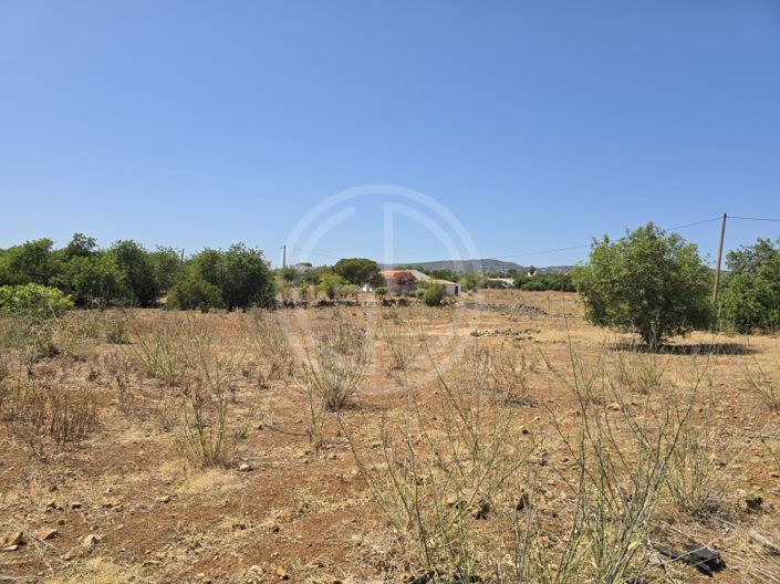 Image No.8-Plot for sale