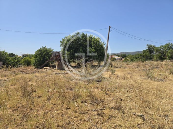 Image No.9-Terrain à vendre à Faro City