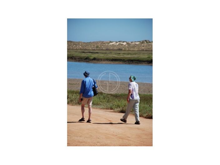 Image No.19-4 Bed House for sale