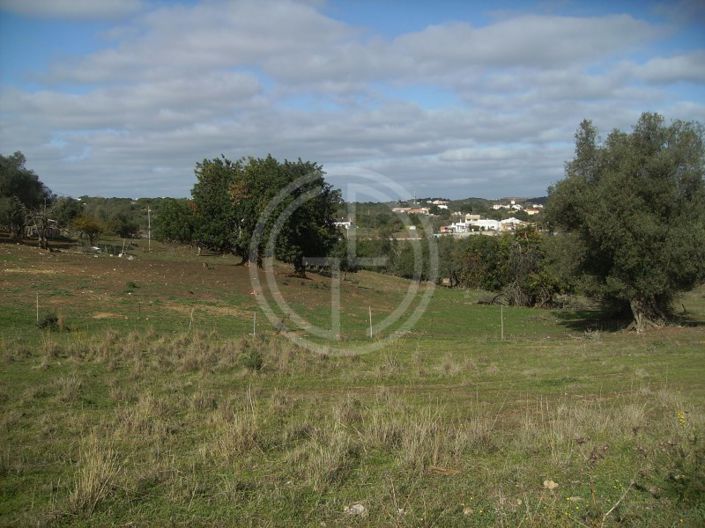 Image No.10-Plot for sale