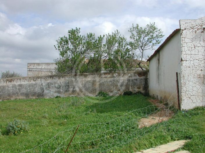 Image No.5-Plot for sale