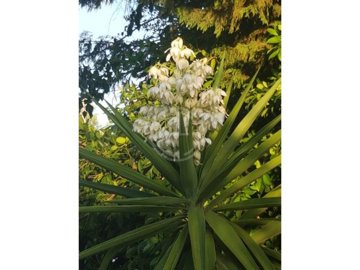 id4a93c401-0000-0500-0000-000018c3e3b6