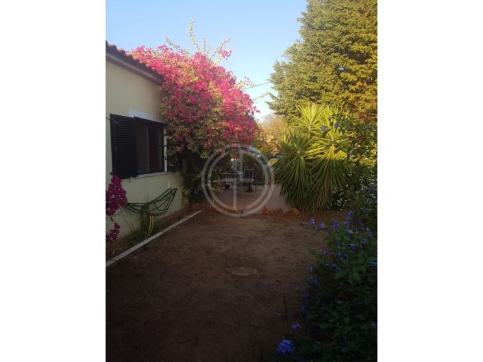 Image No.14-3 Bed House for sale