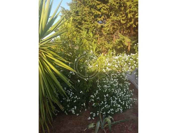 Image No.15-3 Bed House for sale