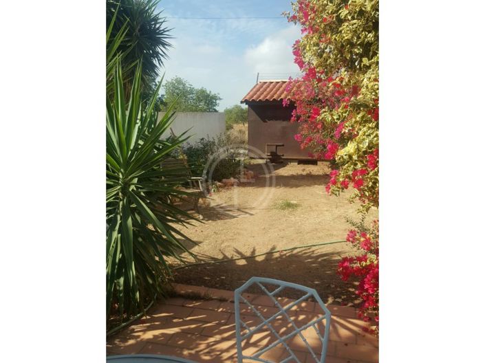 Image No.22-3 Bed House for sale