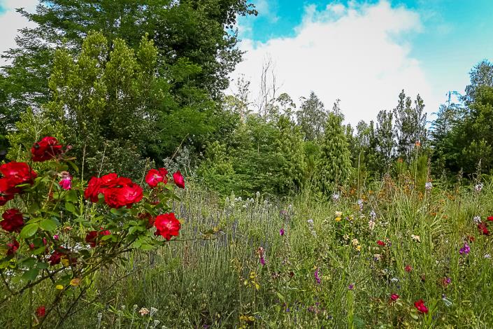 Image No.19-2 Bed Country House for sale