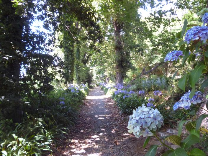 Image No.2-2 Bed Country House for sale