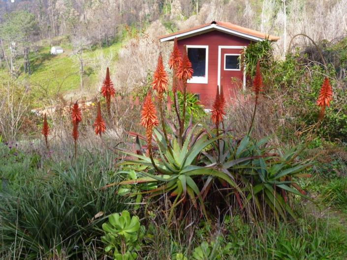 Image No.27-2 Bed Country House for sale