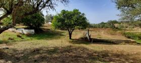 Image No.14-Country Property for sale