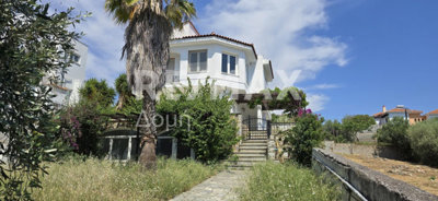 1 - Magnesia, Property
