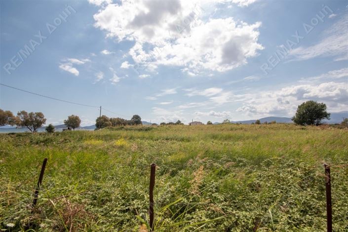 Image No.11-Propriété à vendre à Center