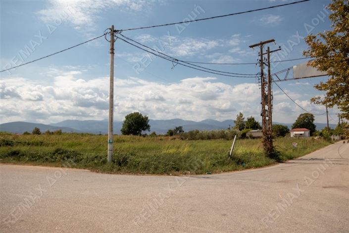 Image No.14-Propriété à vendre à Center