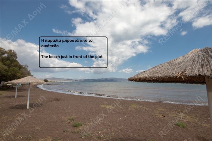 Image No.5-Propriété à vendre à Center