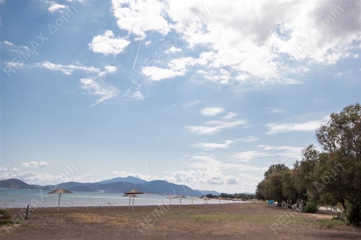 Image No.8-Propriété à vendre à Center